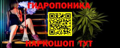индика Кандалакша