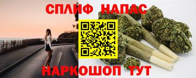 гидропоника Камышлов