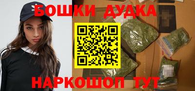 гидропоника Камышлов