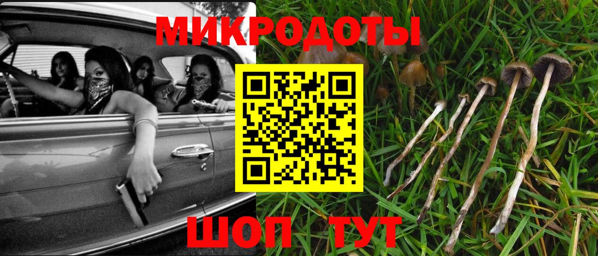 Галлюциногенные грибы Psilocybine cubensis  Галлюциногенные грибы Cubensis  Вход с VPN  Гагарин 