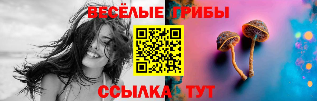 Псилоцибиновые грибы мухоморы Гагарин