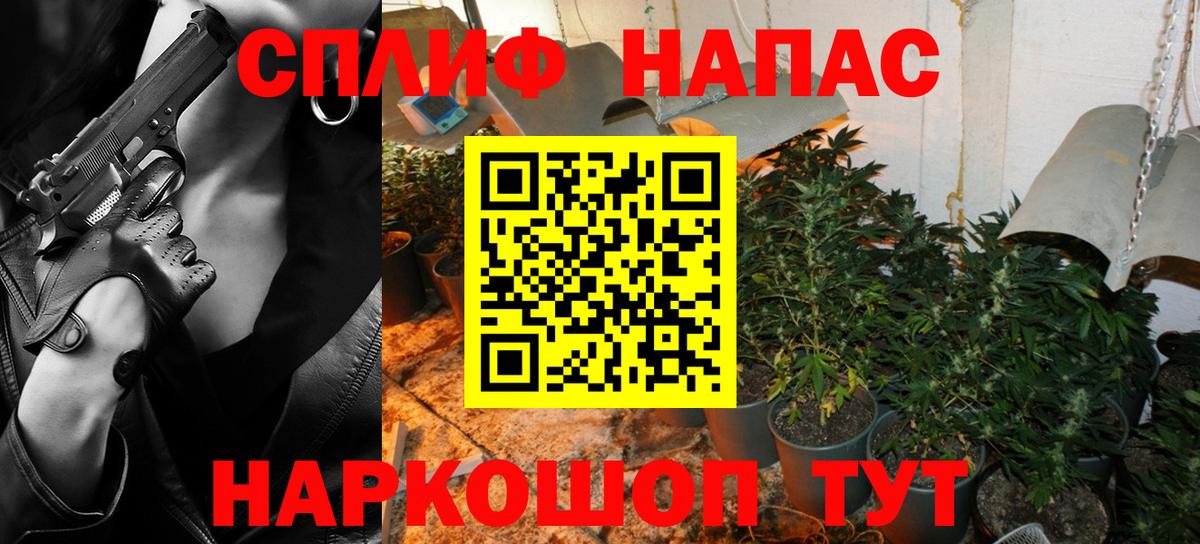 Гагарин  Канабис гибрид  Вход с VPN  Шишки марихуана семена 